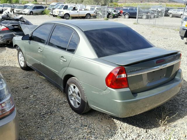 1G1ZT52865F111213 - 2005 CHEVROLET MALIBU LS Yaşıl foto 3