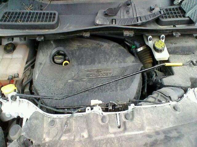 1FMCU0GX9FUA20913 - 2015 FORD ESCAPE SE 白色 照片 7