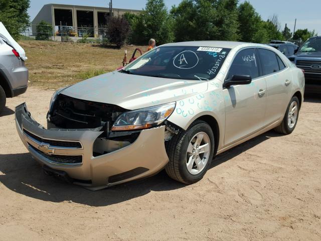 1G11B5SA0DF160022 - 2013 CHEVROLET MALIBU LS 金色 照片 2