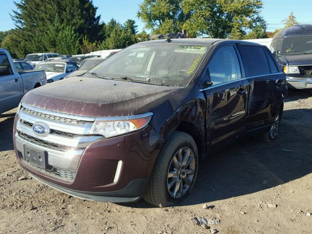 2FMDK4KC7BBA95101 - 2011 FORD EDGE LIMIT PURPLE photo 2