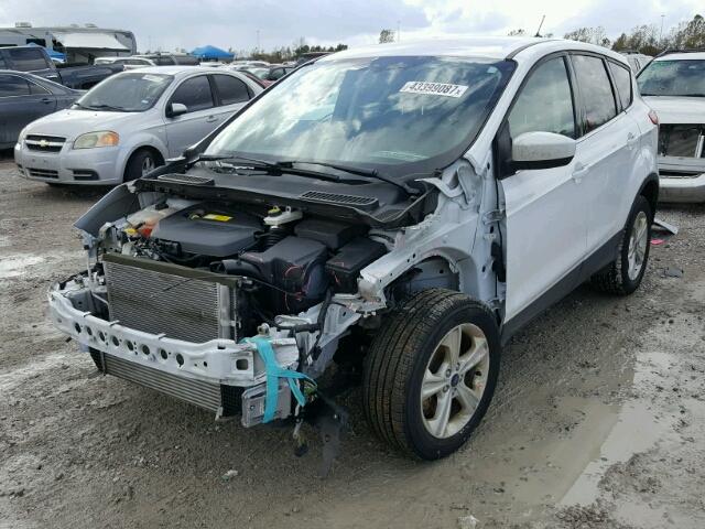 1FMCU9GX9GUC67225 - 2016 FORD ESCAPE SE WHITE photo 2