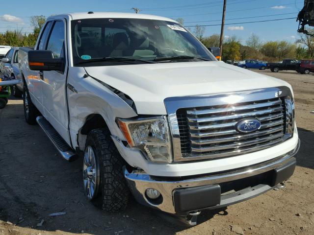 1FTFX1EF3BFB90286 - 2011 FORD F150 WHITE photo 1