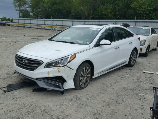 5NPE34AFXGH363491 - 2016 HYUNDAI SONATA SPO WHITE photo 2