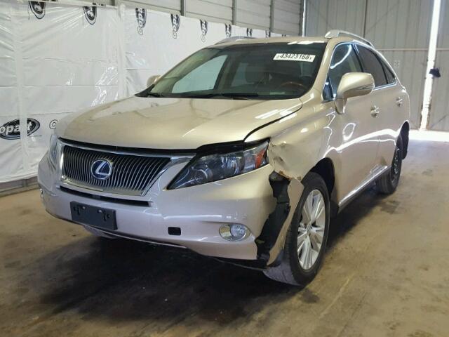 JTJBC1BA1C2428502 - 2012 LEXUS RX 450 GOLD photo 2