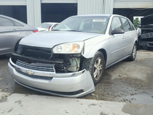 1G1ZT62875F224139 - 2005 CHEVROLET MALIBU MAX ვერცხლისფერი ფოტო 2