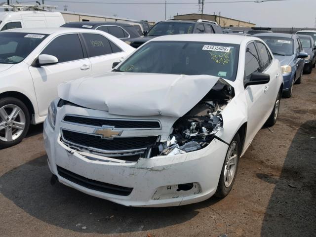 1G11B5SA2DF132416 - 2013 CHEVROLET MALIBU LS 白色 照片 2