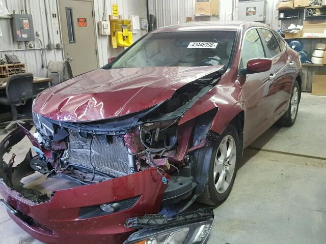 5J6TF2H5XAL012562 - 2010 HONDA ACCORD CRO MAROON photo 2