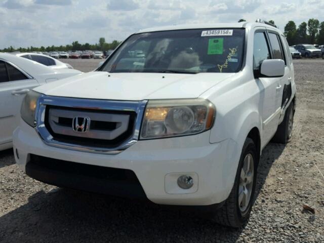 5FNYF3H74BB040431 - 2011 HONDA PILOT EXLN WHITE photo 2