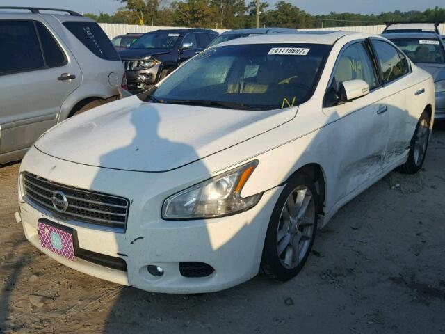 1N4AA5AP6AC800575 - 2010 NISSAN MAXIMA S WHITE photo 2