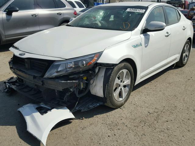 KNAGM4AD2G5099507 - 2016 KIA OPTIMA HYB WHITE photo 2