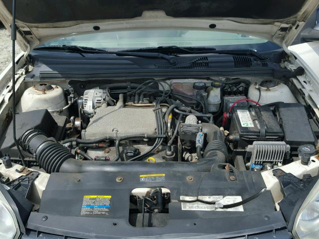 1G1ZT62884F220468 - 2004 CHEVROLET MALIBU MAX თეთრი ფოტო 7