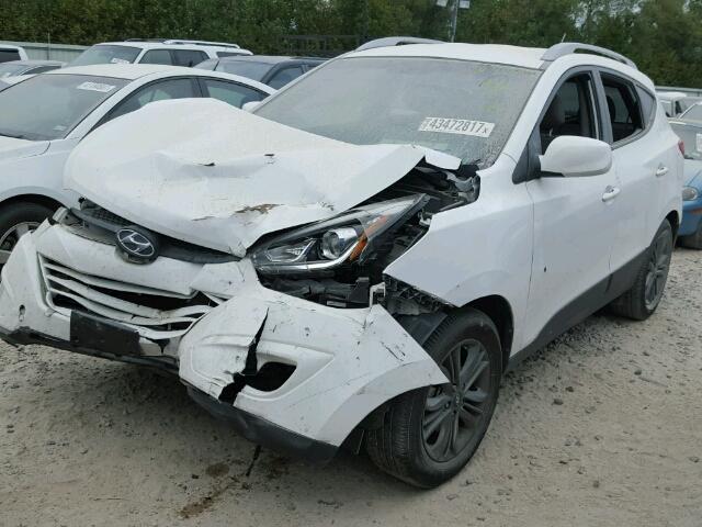 KM8JU3AG2EU864257 - 2014 HYUNDAI TUCSON GLS WHITE photo 2