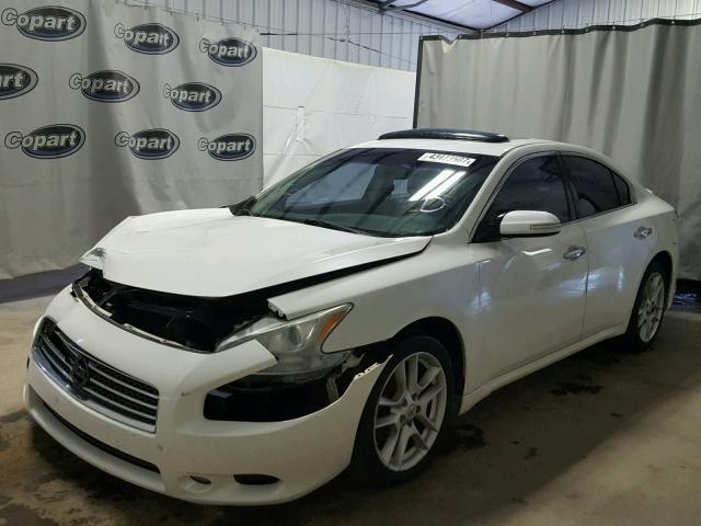 1N4AA51E99C834844 - 2009 NISSAN MAXIMA WHITE photo 2