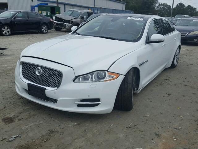 SAJWA2GB6CLV25515 - 2012 JAGUAR XJL BASE WHITE photo 2