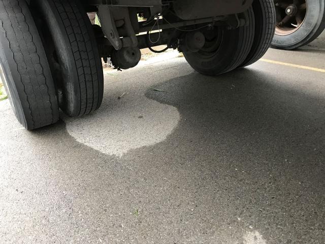 1PND281S6HKA27188 - 1987 PINES TRAILER თეთრი ფოტო 8