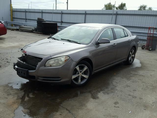 1G1ZC5E18BF178048 - 2011 CHEVROLET MALIBU 1LT 棕色 照片 2