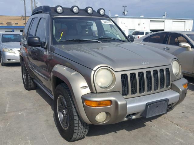 1J4GK38K94W146815 - 2004 JEEP LIBERTY RE BEIGE photo 1