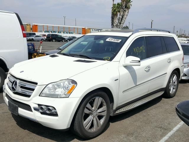 4JGBF2FE5BA643359 - 2011 MERCEDES-BENZ GL 350 BLU WHITE photo 2