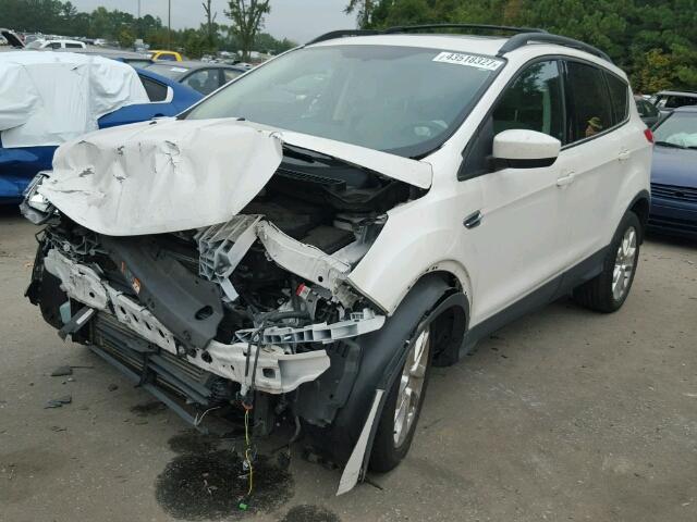 1FMCU0GX1DUA16075 - 2013 FORD ESCAPE SE WHITE photo 2