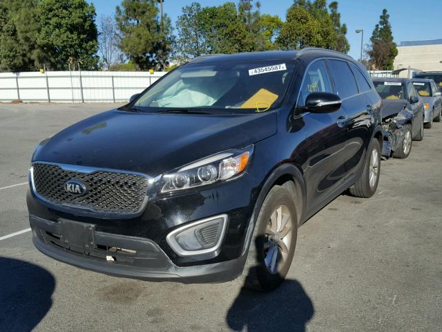 5XYPG4A31GG046113 - 2016 KIA SORENTO LX BLACK photo 2