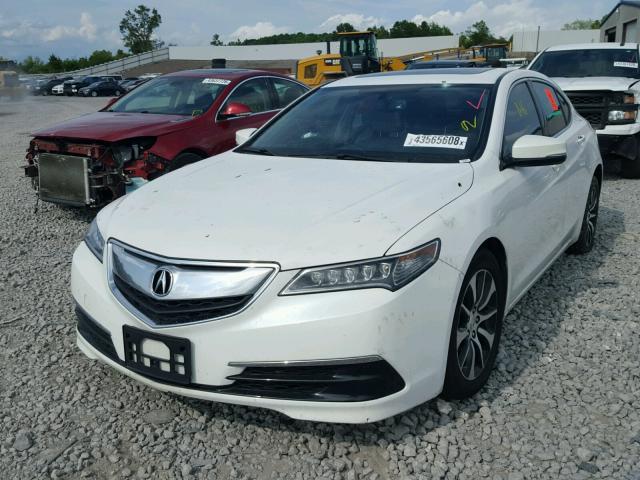 19UUB1F34FA024177 - 2015 ACURA TLX WHITE photo 2