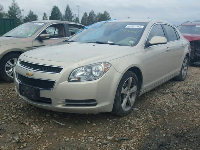 1G1ZC5E16BF290489 - 2011 CHEVROLET MALIBU 1LT ოქროსფერი ფოტო 2