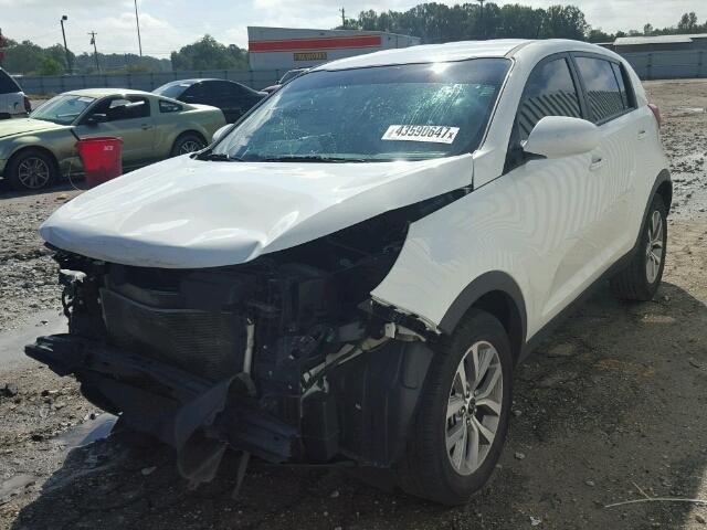 KNDPB3AC8F7744741 - 2015 KIA SPORTAGE L WHITE photo 2