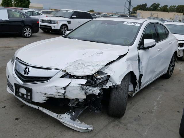 19UUB1F53FA009347 - 2015 ACURA TLX TECH თეთრი ფოტო 2