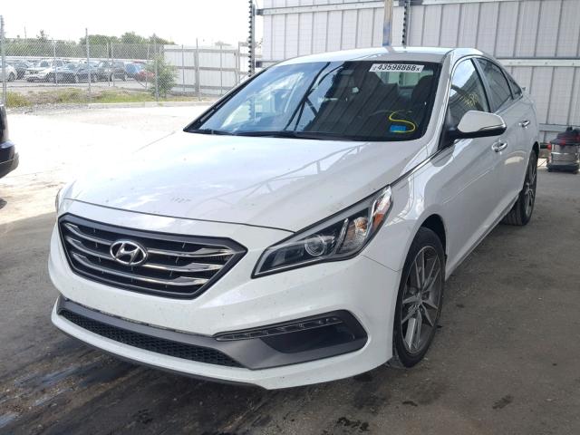 5NPE34AB7FH074032 - 2015 HYUNDAI SONATA SPO WHITE photo 2