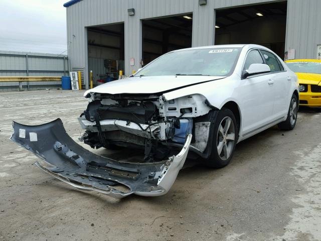 1G1ZC5EU9BF374901 - 2011 CHEVROLET MALIBU 1LT თეთრი ფოტო 2
