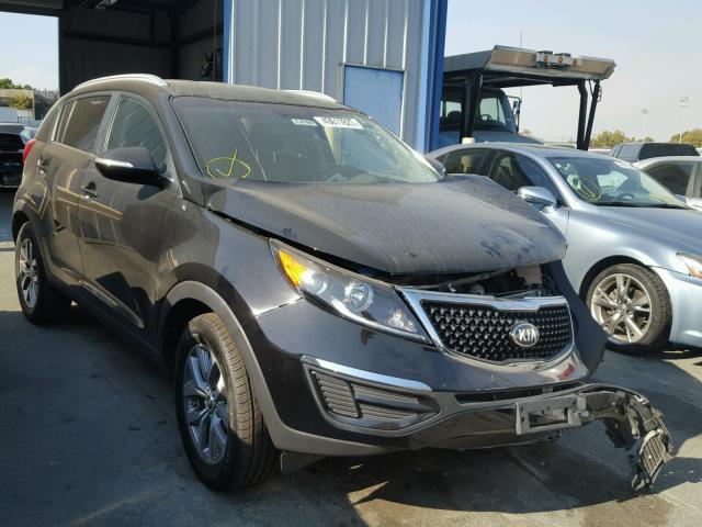 KNDPB3AC4E7615099 - 2014 KIA SPORTAGE B BLACK photo 1