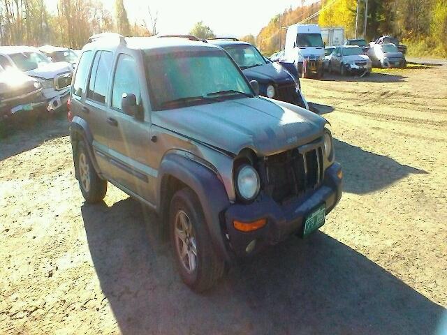 1J4GL48K54W201702 - 2004 JEEP LIBERTY SP GOLD photo 1