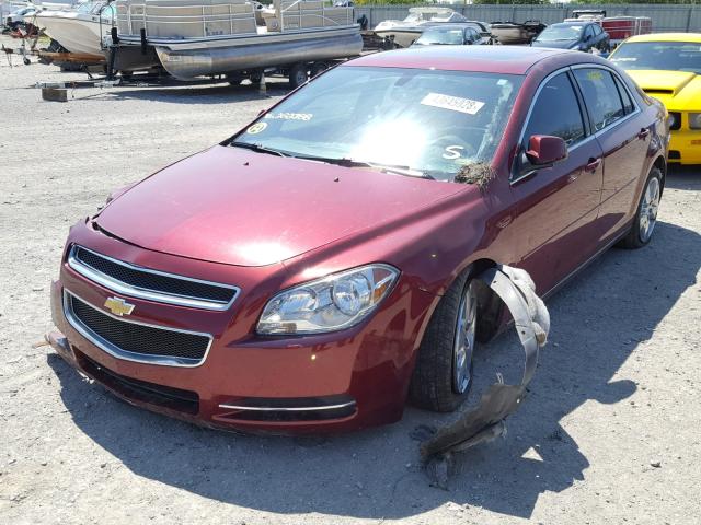 1G1ZC5E19BF282788 - 2011 CHEVROLET MALIBU 1LT მუქწითელი ფოტო 2