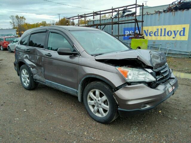 5J6RE4H37AL813571 - 2010 HONDA CR-V BROWN photo 1