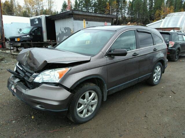 5J6RE4H37AL813571 - 2010 HONDA CR-V BROWN photo 2