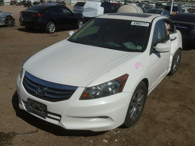 1HGCP3F82BA023463 - 2011 HONDA ACCORD EXL WHITE photo 2