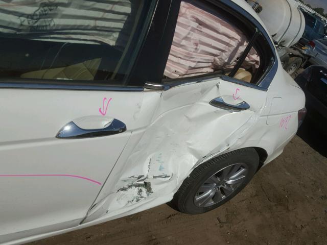 1HGCP3F82BA023463 - 2011 HONDA ACCORD EXL Ağ foto 9