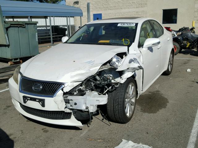 JTHBF5C22A2096056 - 2010 LEXUS IS 250 WHITE photo 2