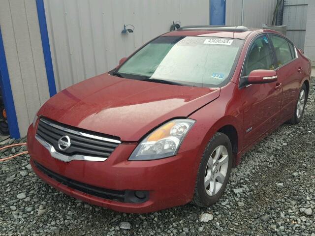 1N4CL21E28C119677 - 2008 NISSAN ALTIMA HYB RED photo 2