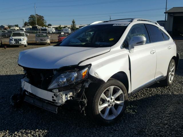 2T2BK1BA2BC100491 - 2011 LEXUS RX 350 WHITE photo 2