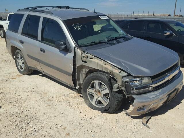 1GNDS13S552119874 - 2005 CHEVROLET TRAILBLAZE TAN photo 9