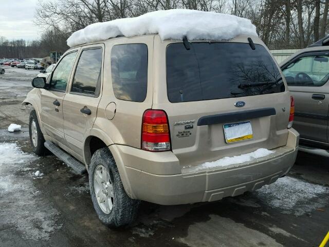 1FMYU03187KA65250 - 2007 FORD ESCAPE XLT TAN photo 3