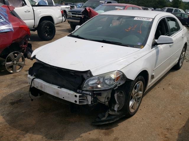 1G1ZH57B39F126697 - 2009 CHEVROLET MALIBU 1LT 白色 照片 2