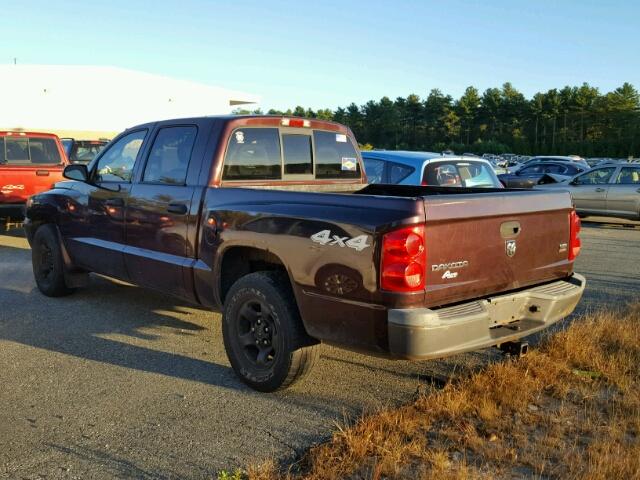 1D7HW28N55S212343 - 2005 DODGE DAKOTA QUA BURGUNDY photo 3