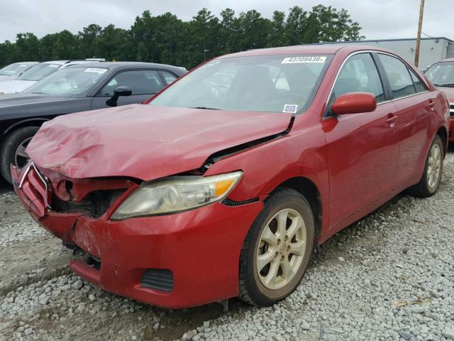 4T1BF3EK4AU112213 - 2010 TOYOTA CAMRY BASE წითელი ფოტო 2