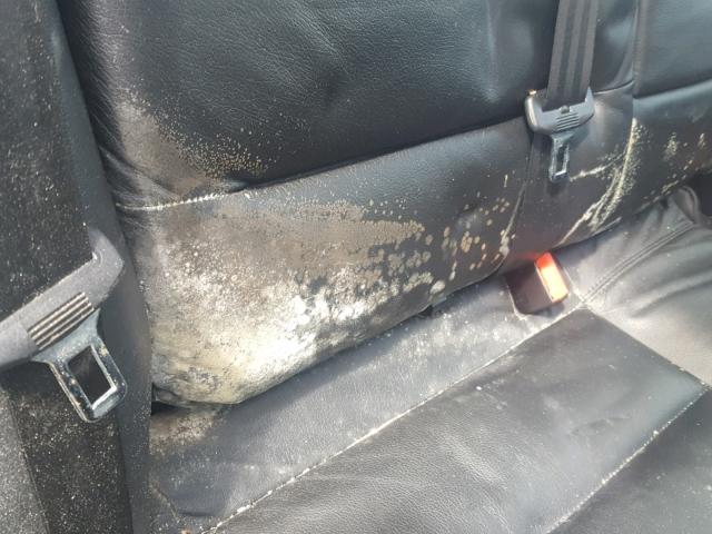 WVWYH63B44E130075 - 2004 VOLKSWAGEN PASSAT GLX მწვანე ფოტო 9