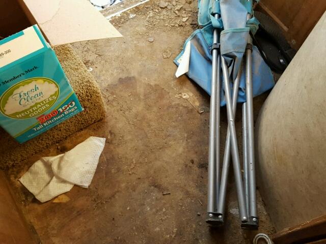 1NL1GTJ22H1123171 - 2017 AIRS TRAVEL TRA 白色 照片 9