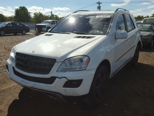 4JGBB86E59A519214 - 2009 MERCEDES-BENZ ML 350 WHITE photo 2