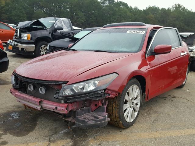 1HGCS2B86AA000765 - 2010 HONDA ACCORD RED photo 2