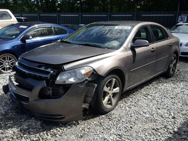 1G1ZC5E1XBF192016 - 2011 CHEVROLET MALIBU 1LT BROWN photo 2